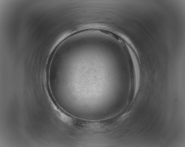 X0000081290999200701111354