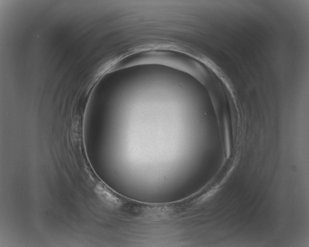 X0000081291001200701111354