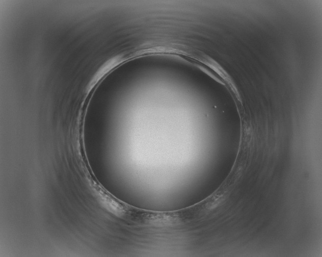 X0000081291002200701111354