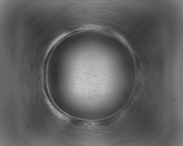 X0000081291003200701111354