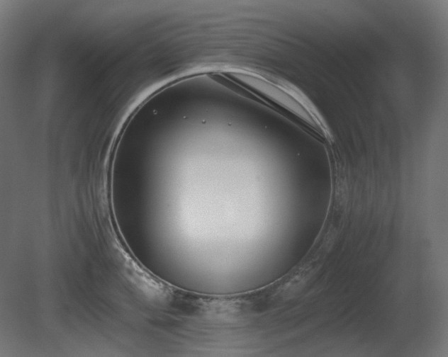 X0000081291004200701111354