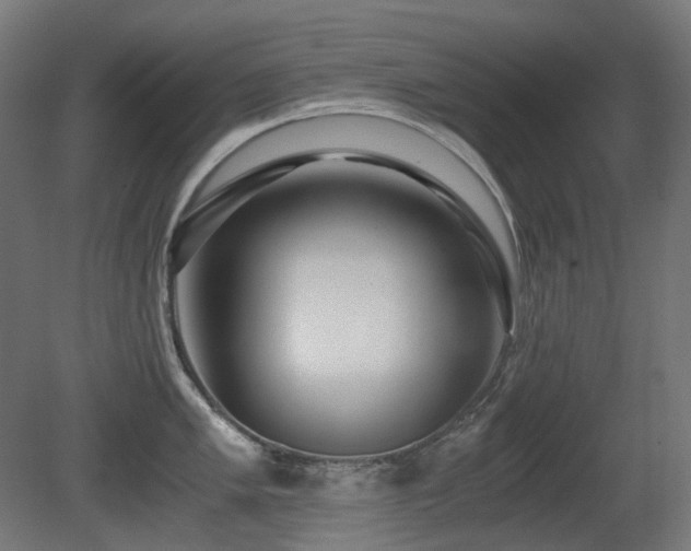 X0000081291005200701111353