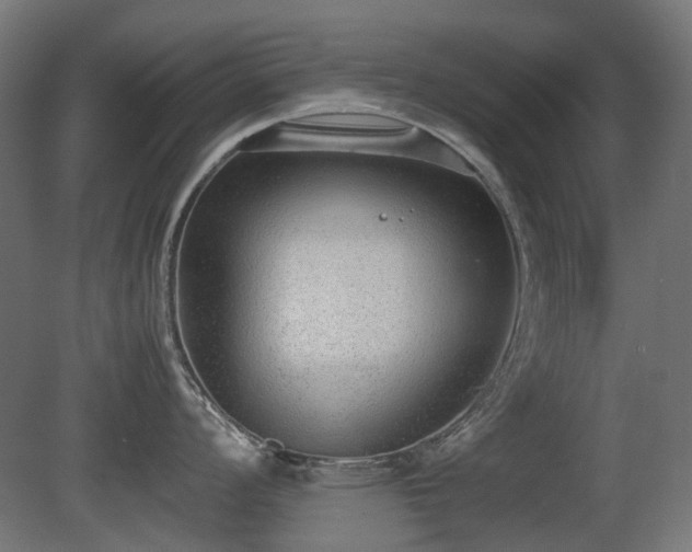 X0000081291008200701111353