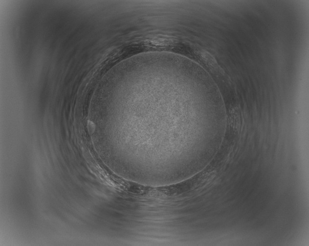 X0000081291009200701111353