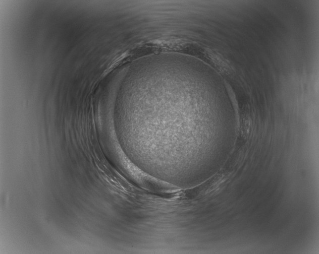 X0000081291010200701111353