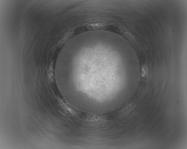 X0000081291011200701111353