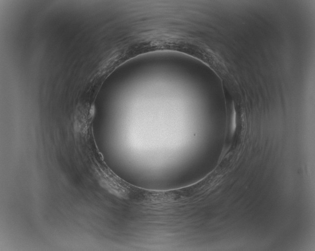 X0000081291012200701111353