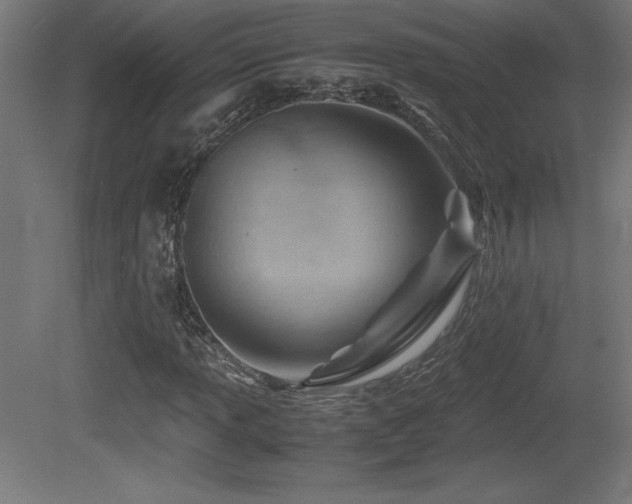 X0000081291013200701111353
