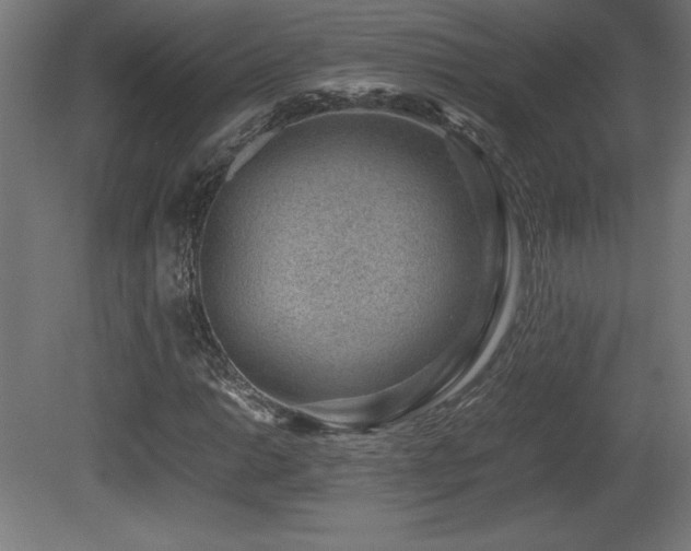 X0000081291014200701111353