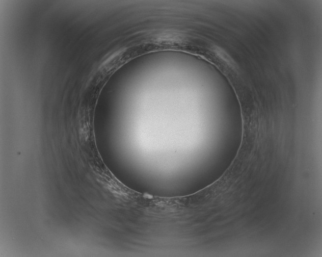 X0000081291015200701111353