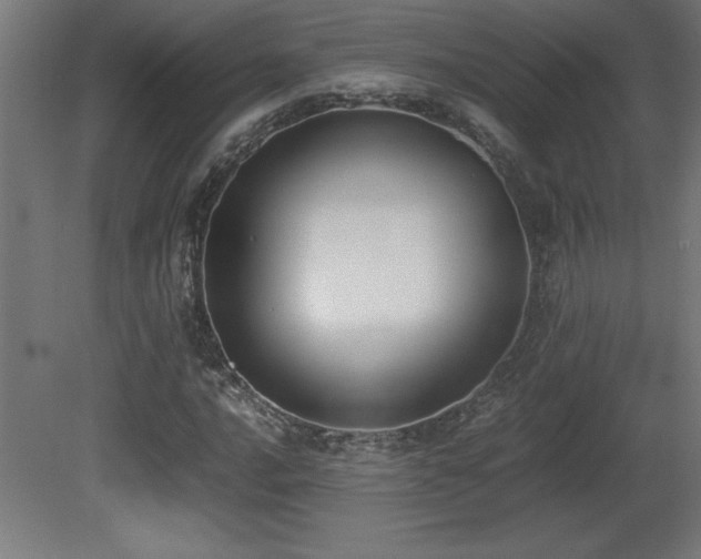 X0000081291016200701111353