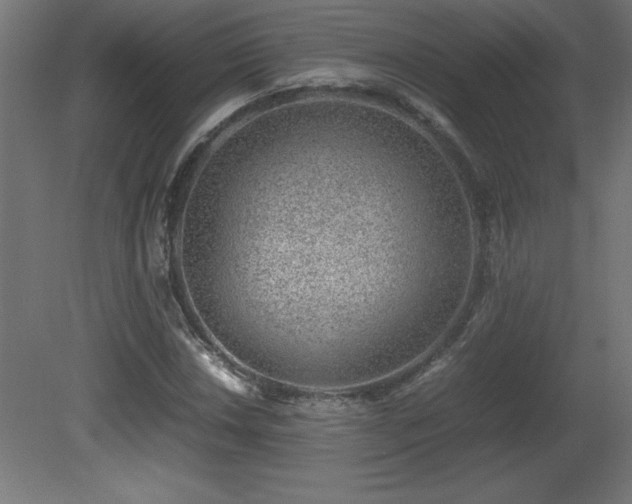 X0000081291018200701111353