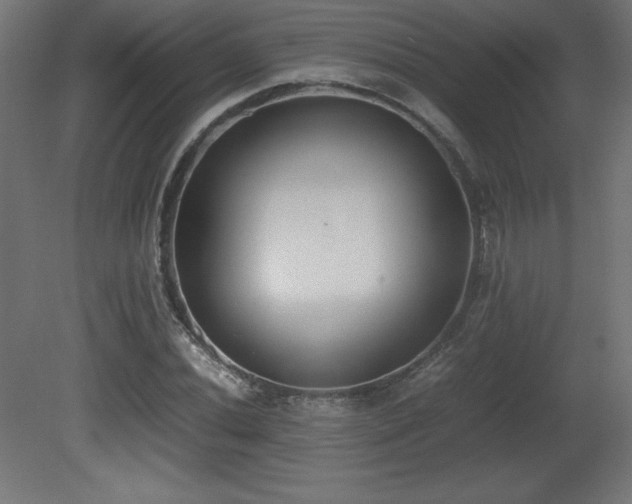 X0000081291020200701111353