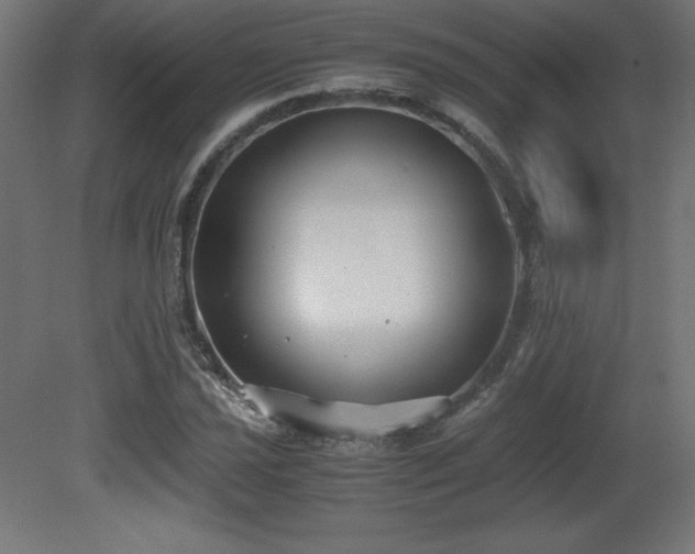 X0000081291021200701111353