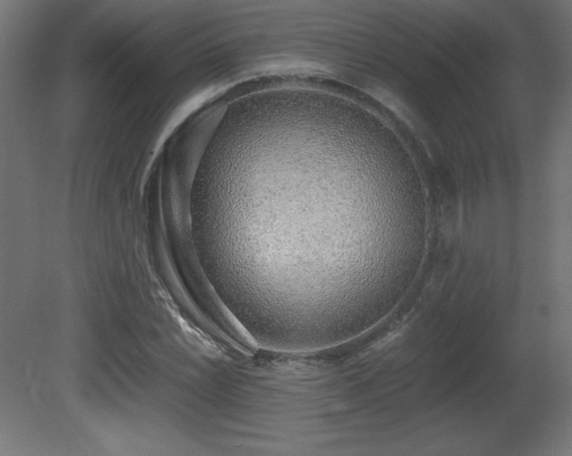 X0000081291022200701111353