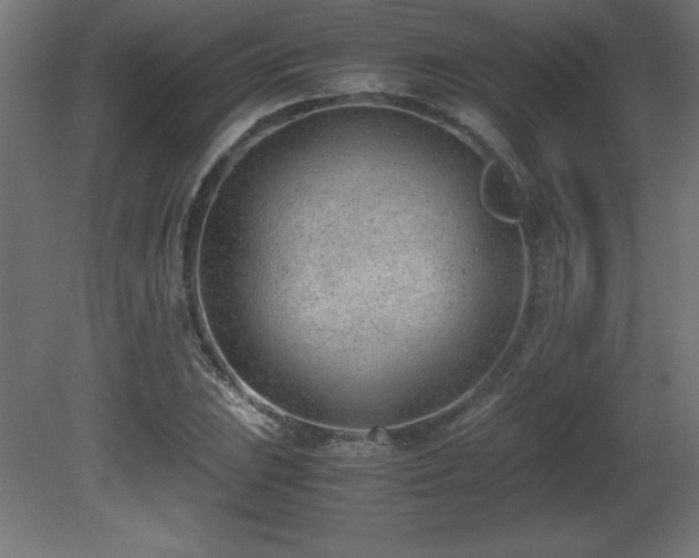 X0000081291023200701111353