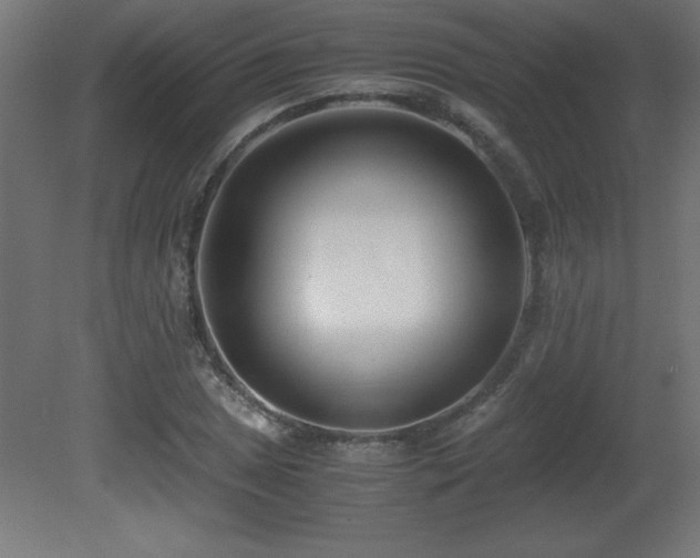 X0000081291025200701111353