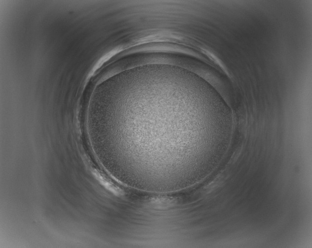 X0000081291026200701111353