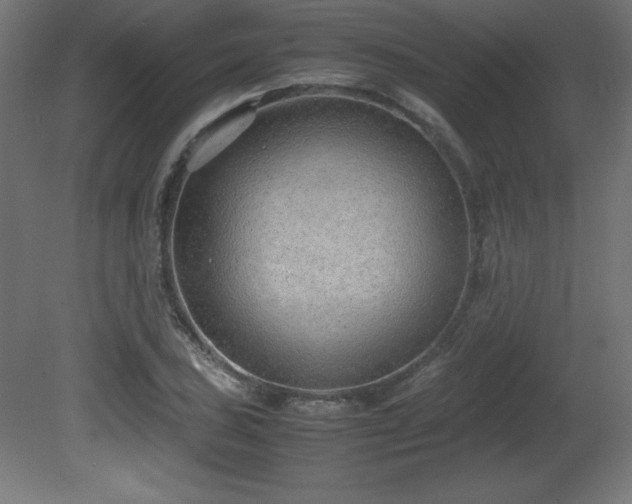 X0000081291027200701111353