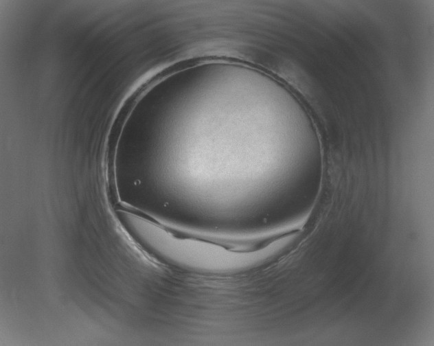 X0000081291028200701111353