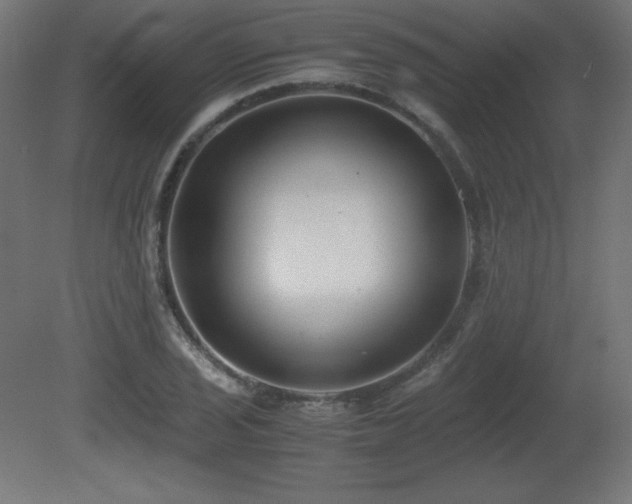 X0000081291029200701111353