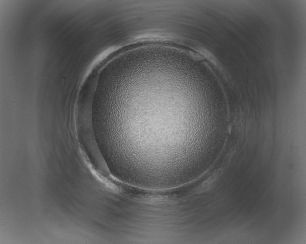X0000081291030200701111353