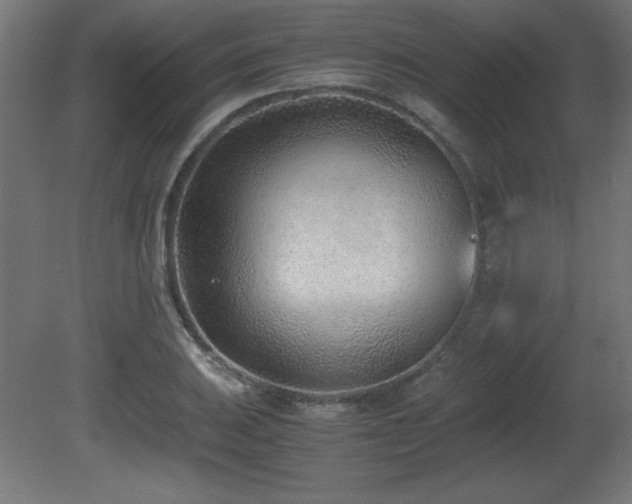 X0000081291031200701111353
