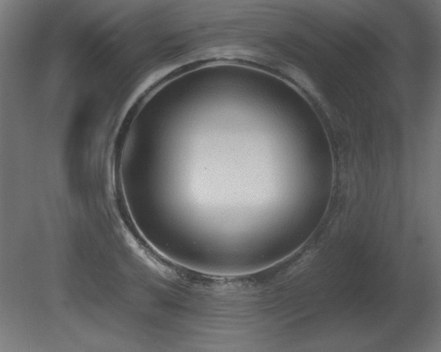 X0000081291032200701111353