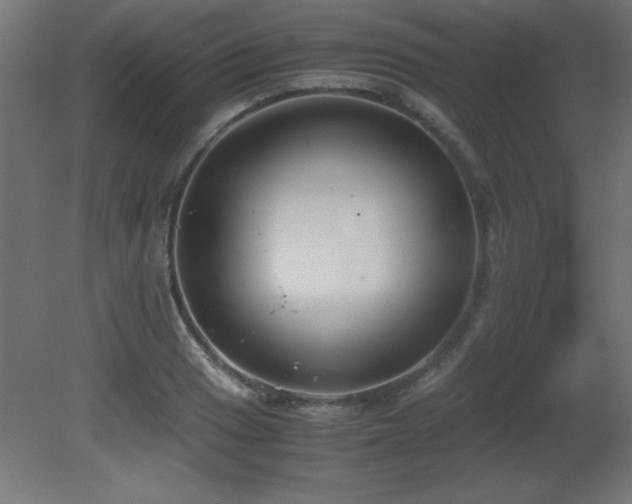 X0000081291033200701111353