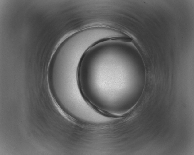 X0000081291034200701111353
