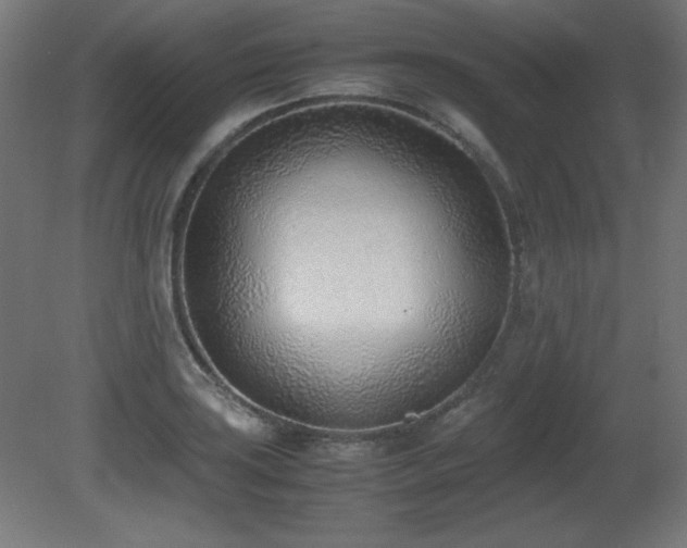 X0000081291035200701111353