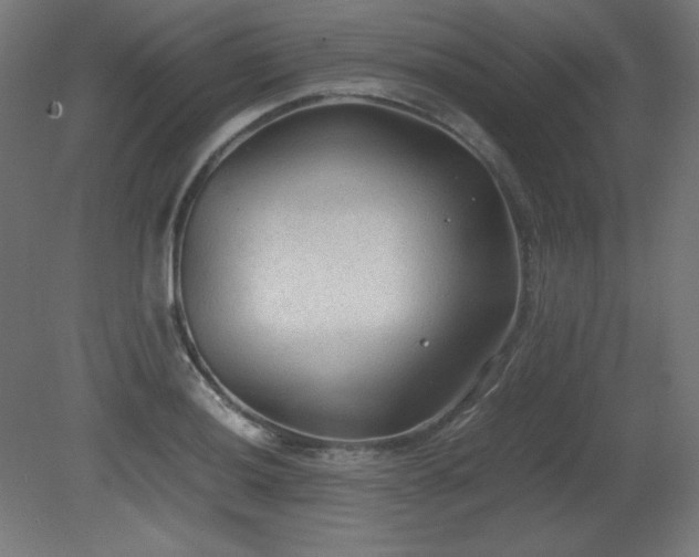 X0000081291036200701111353