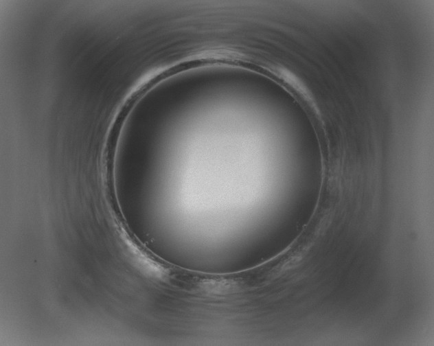 X0000081291037200701111353