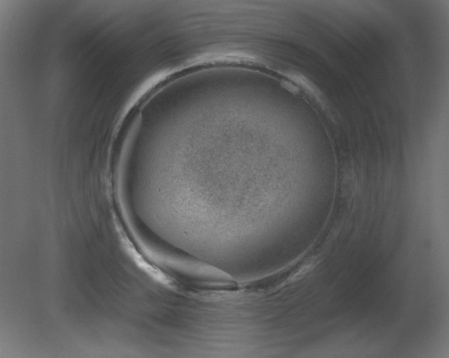 X0000081291038200701111353