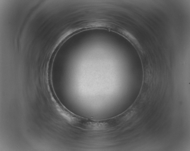 X0000081291039200701111353