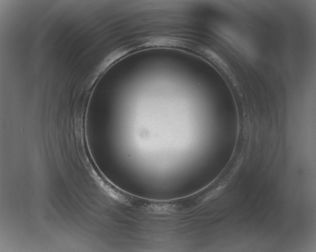 X0000081291041200701111353