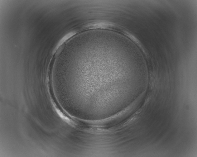 X0000081291042200701111353
