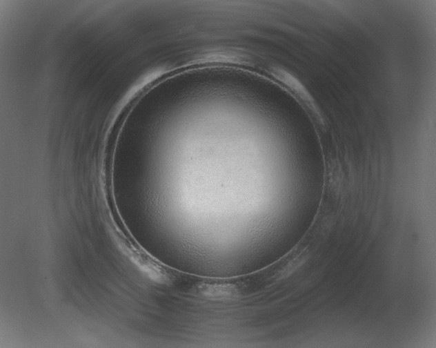 X0000081291043200701111353