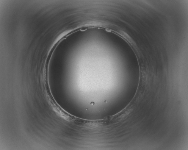 X0000081291044200701111353