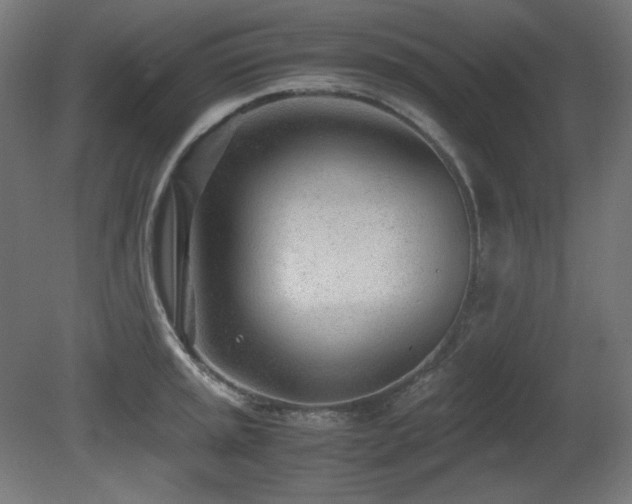 X0000081291045200701111353