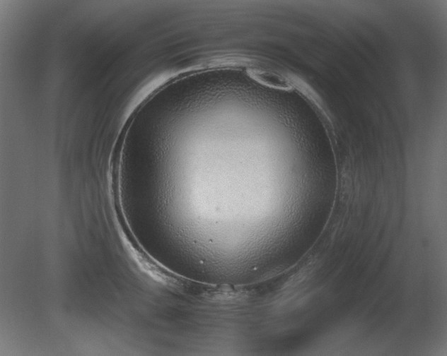 X0000081291047200701111353