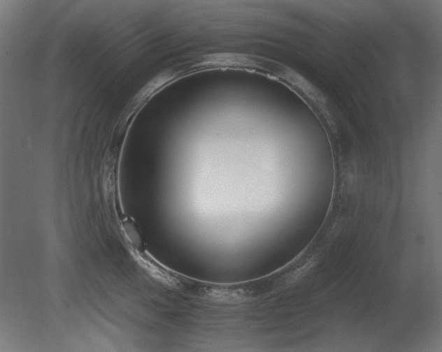 X0000081291049200701111353