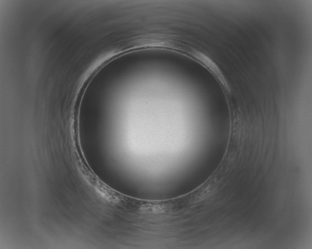 X0000081291051200701111353