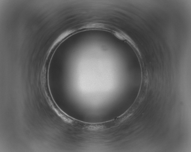 X0000081291053200701111353