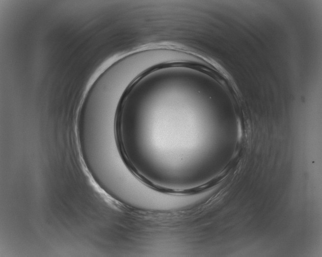 X0000081291054200701111353