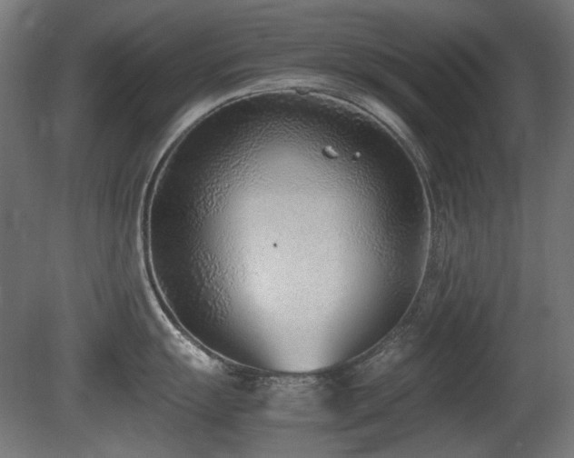 X0000081291055200701111353