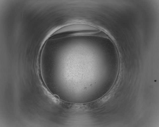 X0000081291056200701111353
