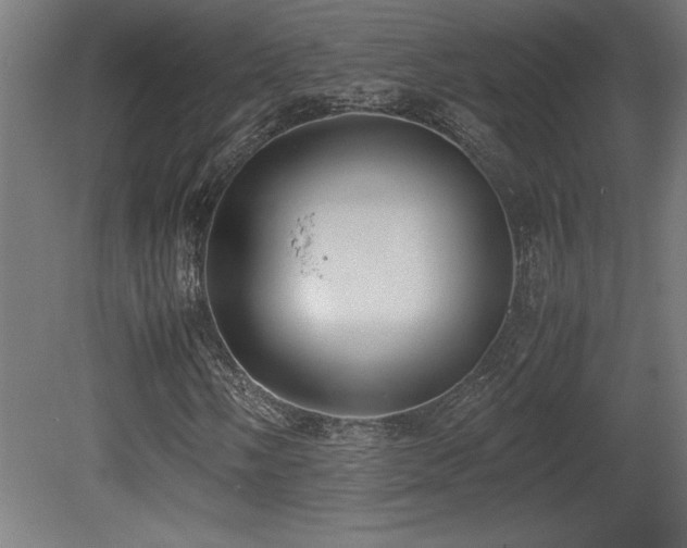 X0000081291058200701111353
