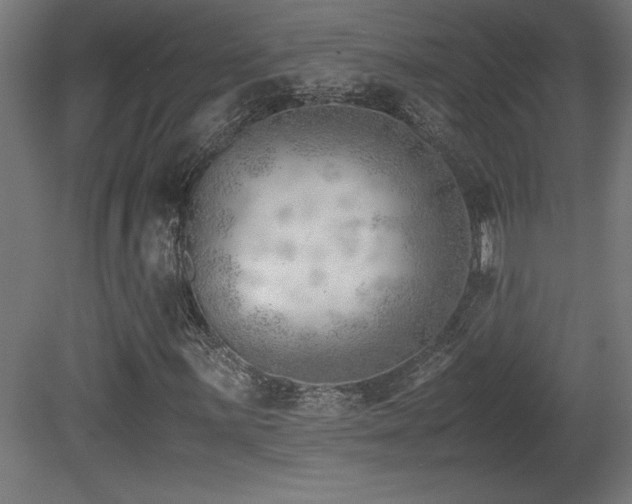 X0000081291059200701111353