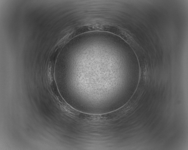 X0000081291060200701111353
